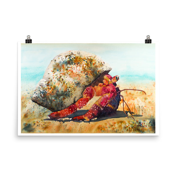 Crabby One *Fine Art Prints