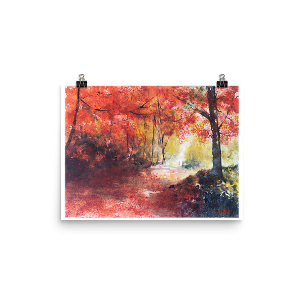 Into the Light *Fine Art Prints!