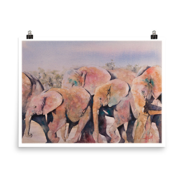Pachy-Derby *Fine Art Prints