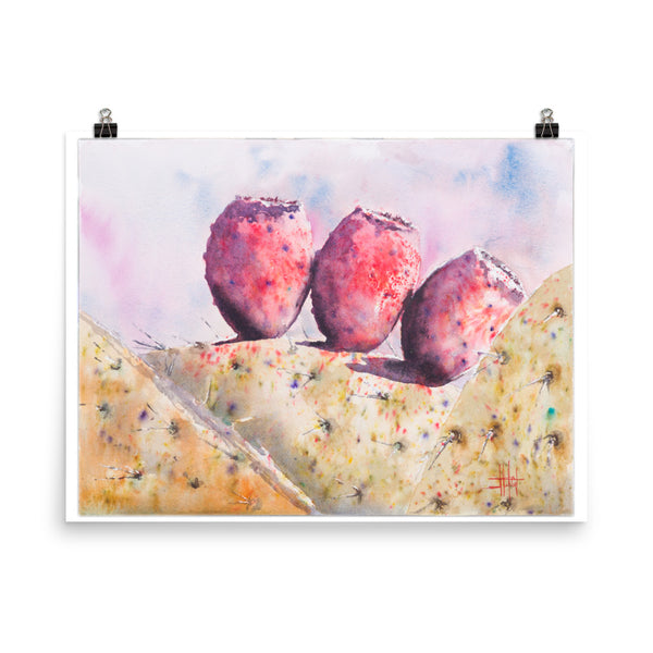 Cactus Fruitas *Fine Art Prints