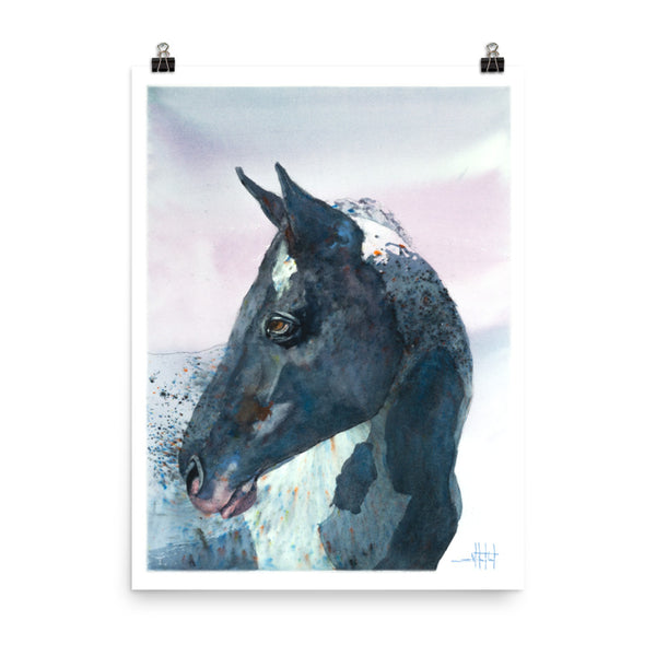 Mr. Brusho *Fine Art Prints!