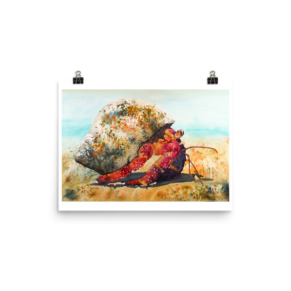 Crabby One *Fine Art Prints