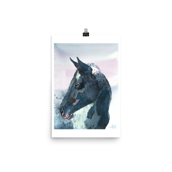 Mr. Brusho *Fine Art Prints!