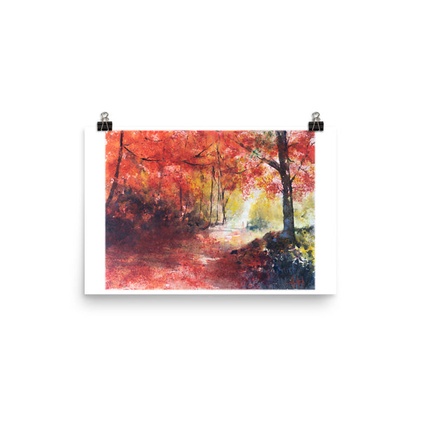 Into the Light *Fine Art Prints!