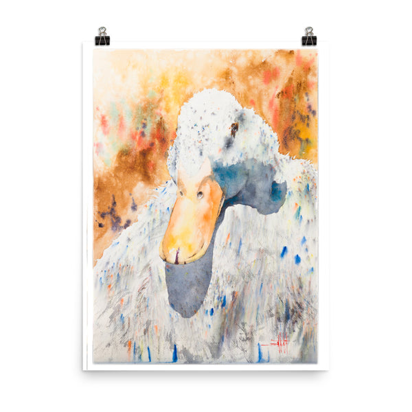 Dazzling Duck *Fine Art Prints
