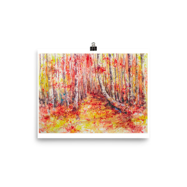 A Path to Sheffield *Fine Art Prints!
