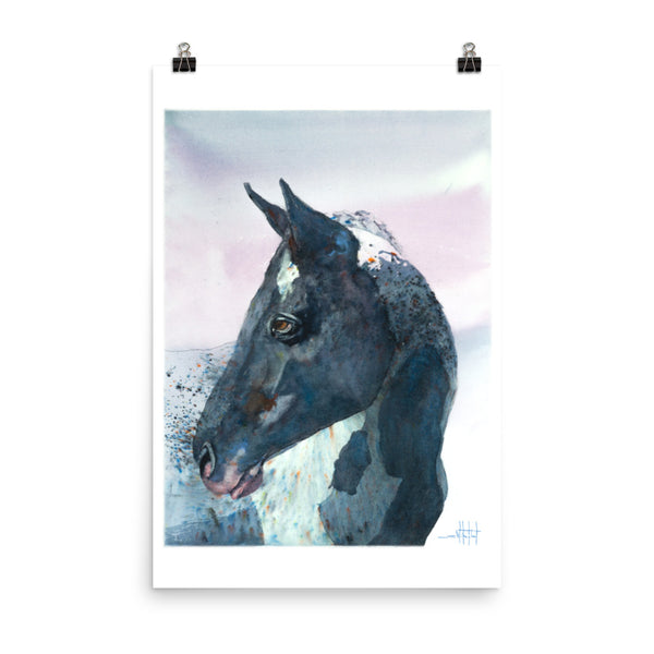 Mr. Brusho *Fine Art Prints!
