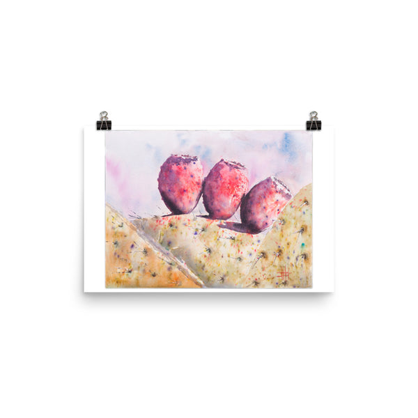 Cactus Fruitas *Fine Art Prints