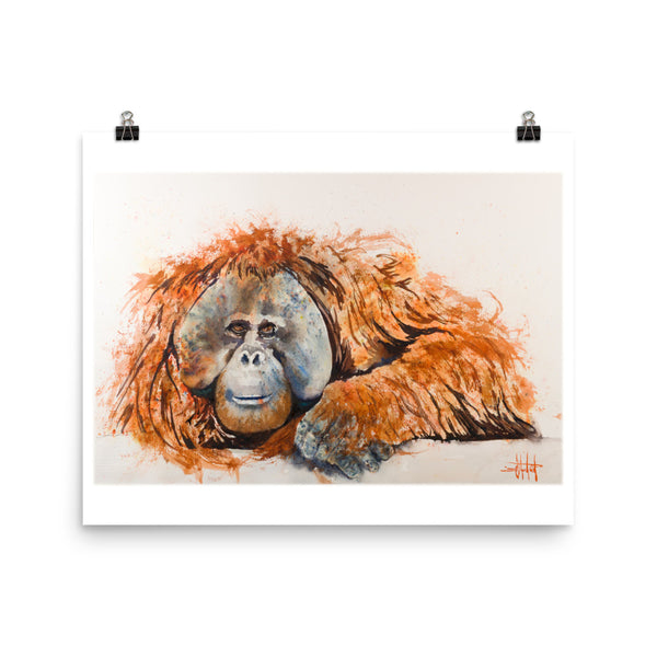 The Councilman *Fine Art Prints