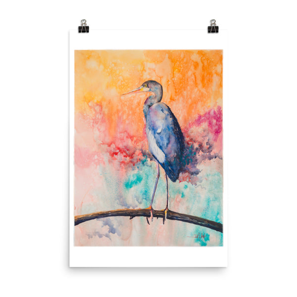 Out on a Limb *Fine Art Prints