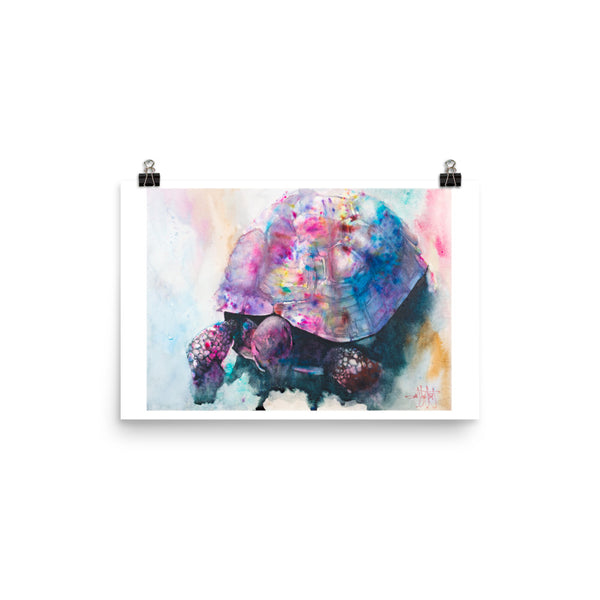 Sweet Medicine *Fine Art Prints