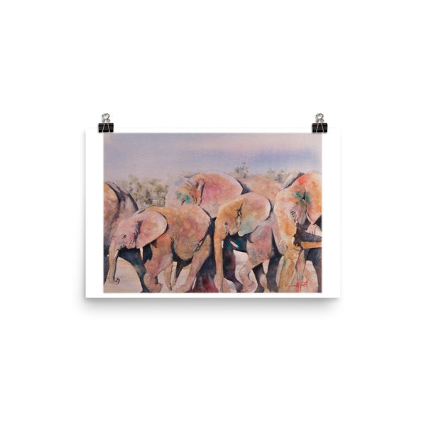 Pachy-Derby *Fine Art Prints