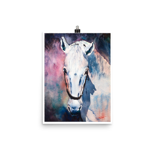 AR's White Mare *Fine Art Prints
