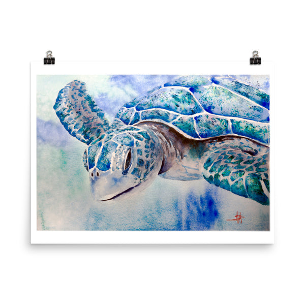 Cool Breeze *Fine Art Prints
