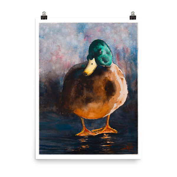 Dark Duck *Fine Art Prints
