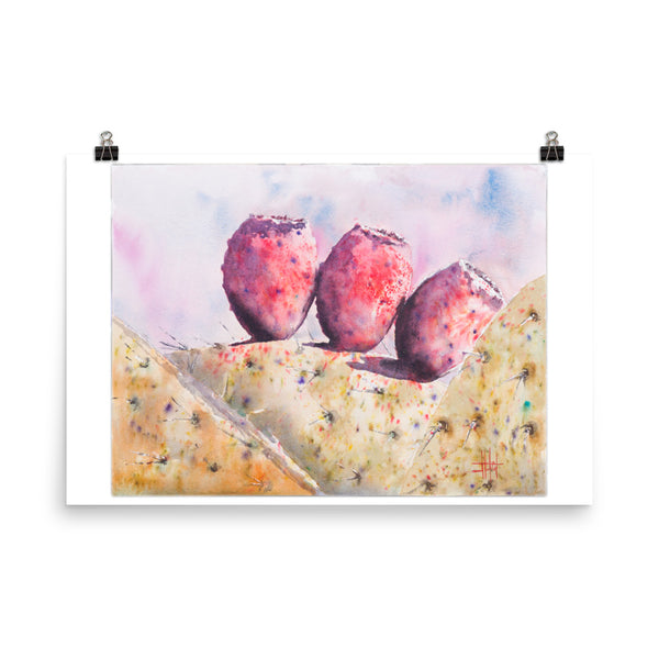Cactus Fruitas *Fine Art Prints