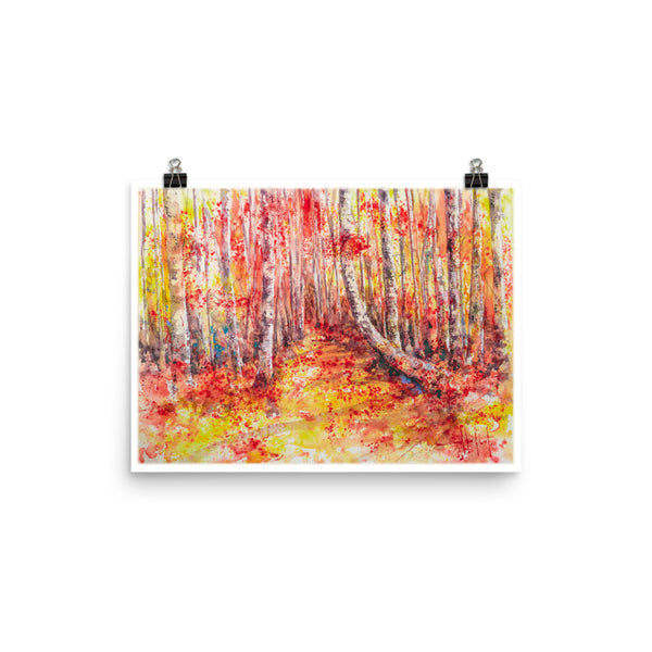 A Path to Sheffield *Fine Art Prints!