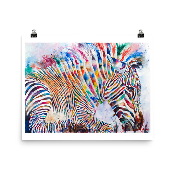 Fruity Zebra *Fine Art Prints