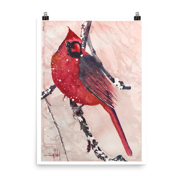 Cardinal of Maine *Fine Art Prints