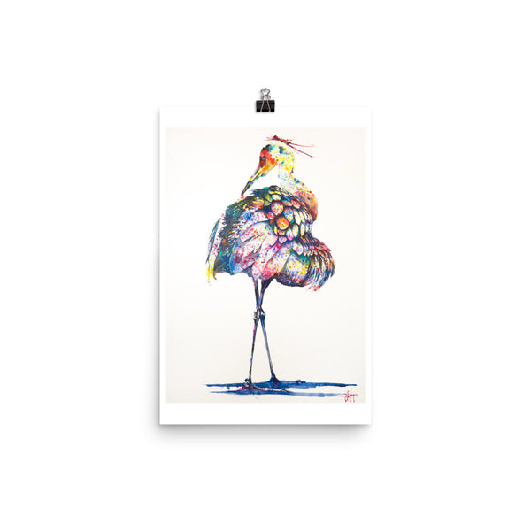 Coat of Many Colors *Fine Art Prints