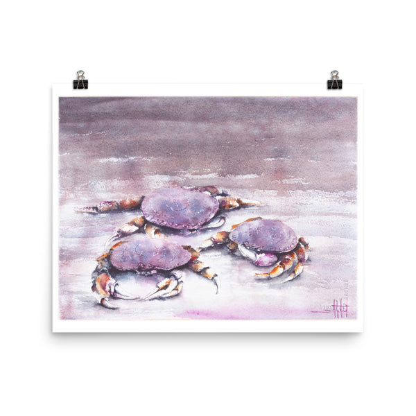 Cast of Crabs *Fine Art Prints