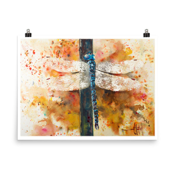 Wings of Light *Fine Art Prints