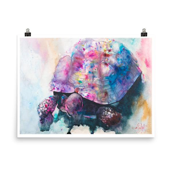 Sweet Medicine *Fine Art Prints