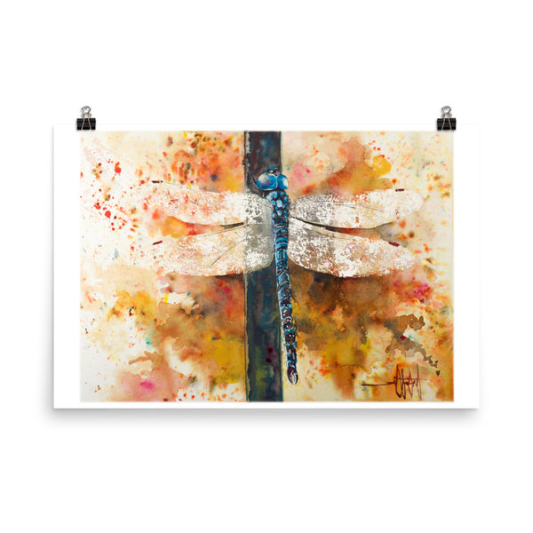 Wings of Light *Fine Art Prints