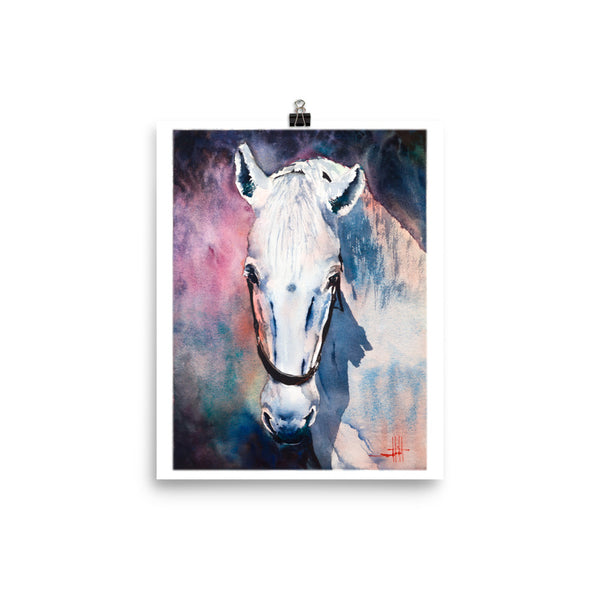 AR's White Mare *Fine Art Prints