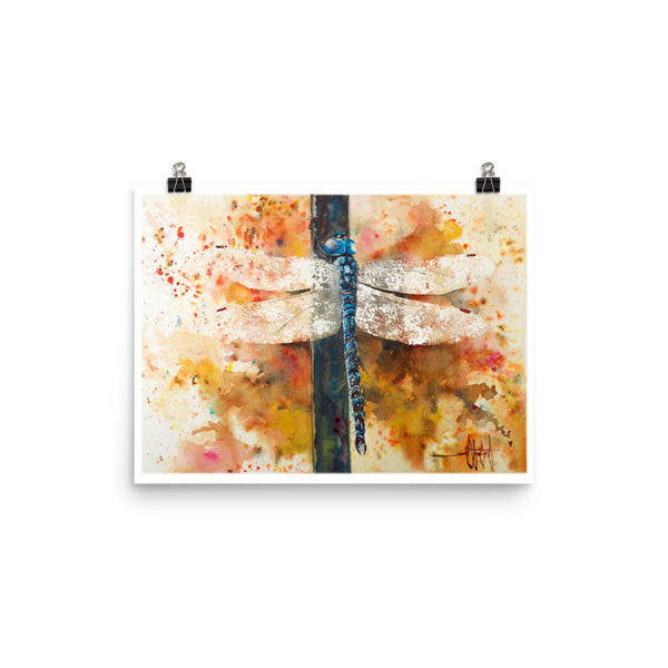 Wings of Light *Fine Art Prints