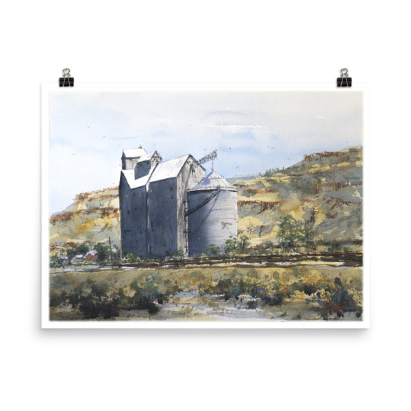 Rufus in the Gorge *Fine Art Prints!