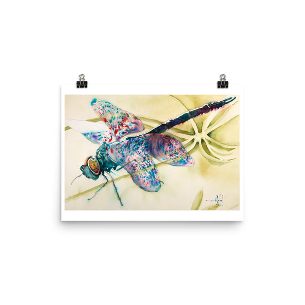Flydragon *Fine Art Prints