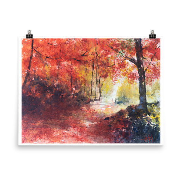 Into the Light *Fine Art Prints!