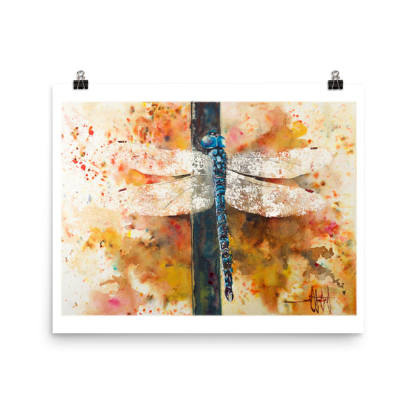 Wings of Light *Fine Art Prints