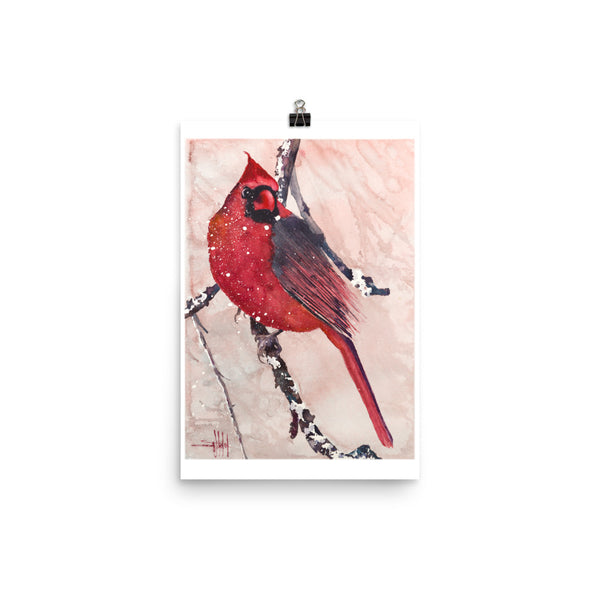 Cardinal of Maine *Fine Art Prints