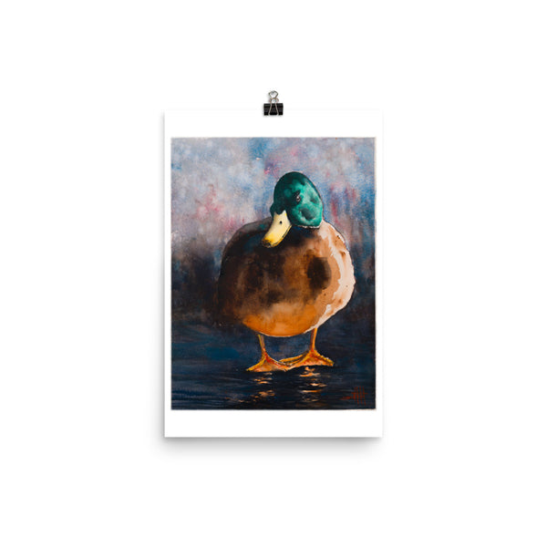 Dark Duck *Fine Art Prints
