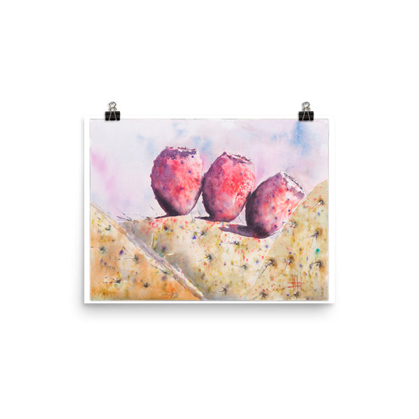 Cactus Fruitas *Fine Art Prints