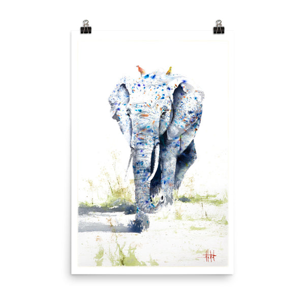 The Great 163 *Fine Art Prints!