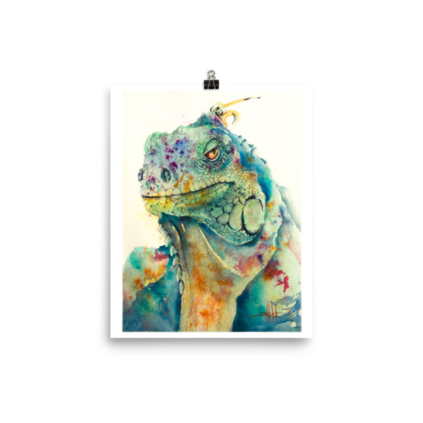 Ziggy *Fine Art Prints