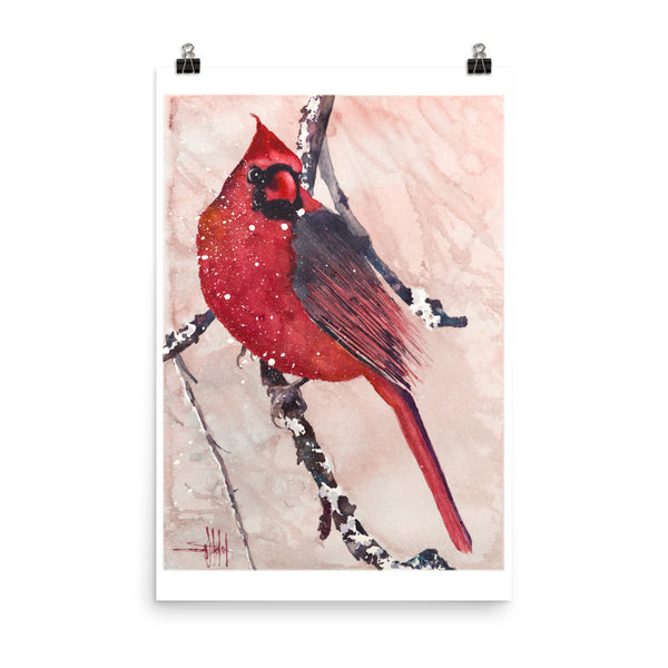 Cardinal of Maine *Fine Art Prints