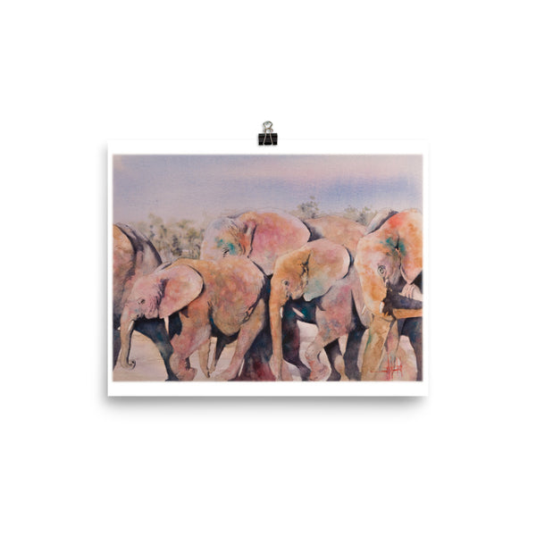 Pachy-Derby *Fine Art Prints