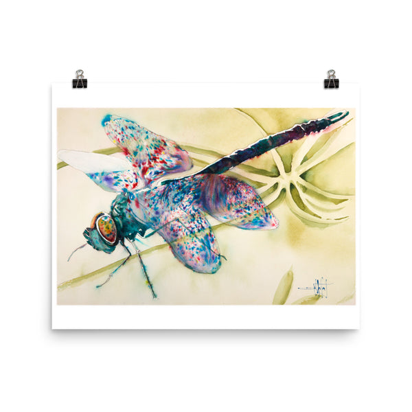 Flydragon *Fine Art Prints