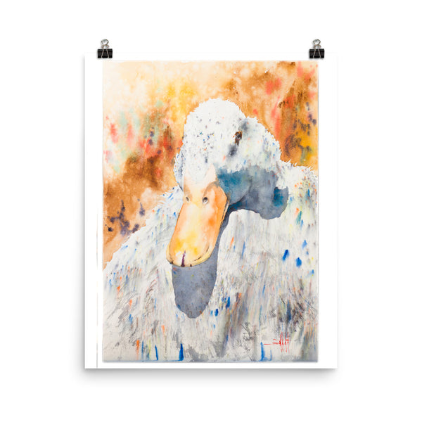 Dazzling Duck *Fine Art Prints