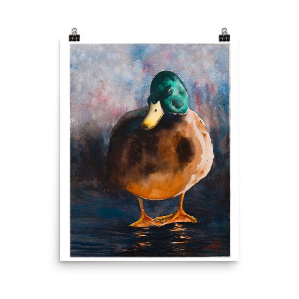 Dark Duck *Fine Art Prints