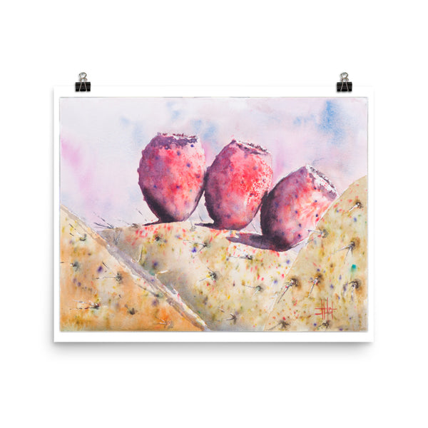 Cactus Fruitas *Fine Art Prints