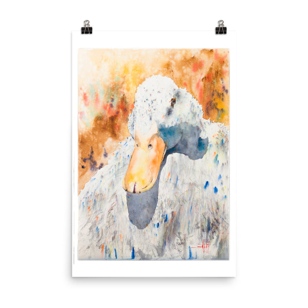 Dazzling Duck *Fine Art Prints