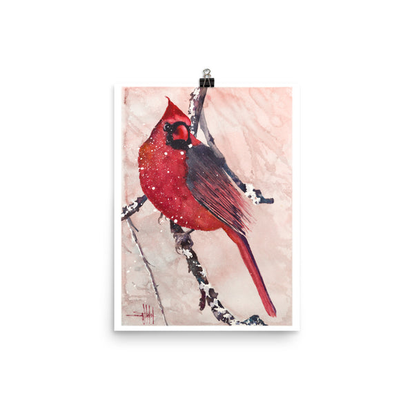 Cardinal of Maine *Fine Art Prints