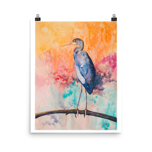 Out on a Limb *Fine Art Prints