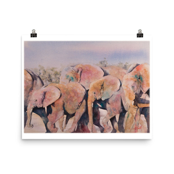 Pachy-Derby *Fine Art Prints