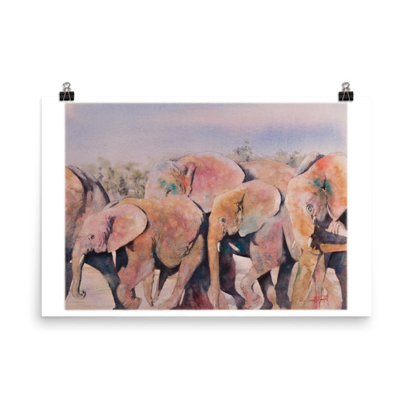 Pachy-Derby *Fine Art Prints